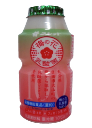 乳酸菌 青汁