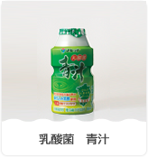 乳酸菌 青汁